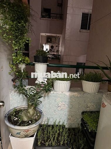 Căn hộ chung cư Conic Đông Nam Á 72.3 m2 2PN+2WC chỉ 2,250 tỷ