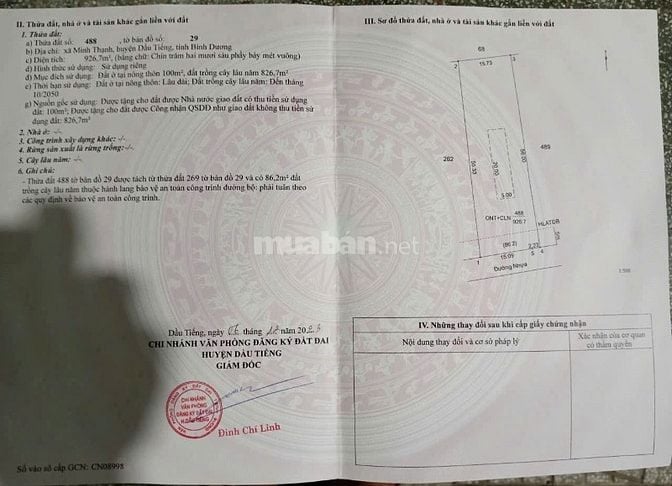 Cần bán 1 sào đất vườn trên đất đang có vườn mít