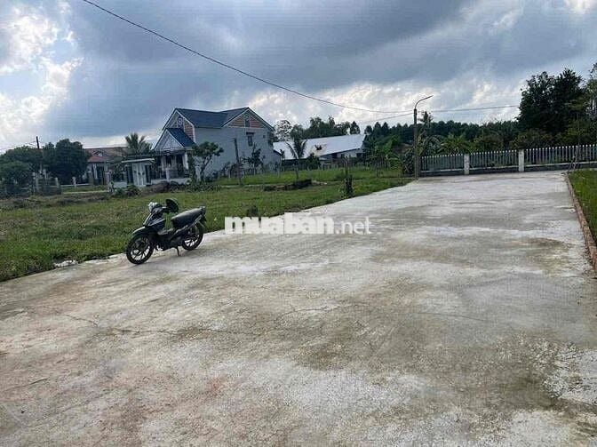 💎 BÁN LÔ ĐẤT BIỆT THỰ 2 MẶT TIỀN SIÊU ĐẸP – GẦN TRỤC NAM KỲ KHỞI NGHĨA