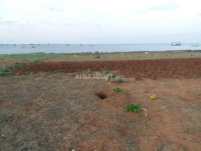 Bán đất mặt biển đẹp, xã Long Hải, Đảo Phú Quý, Bình Thuận, 1200m2