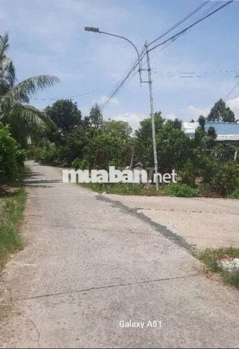 Bán Gấp 175m2 thổ 100% Suối lôi Củ Chi Shr 600tr