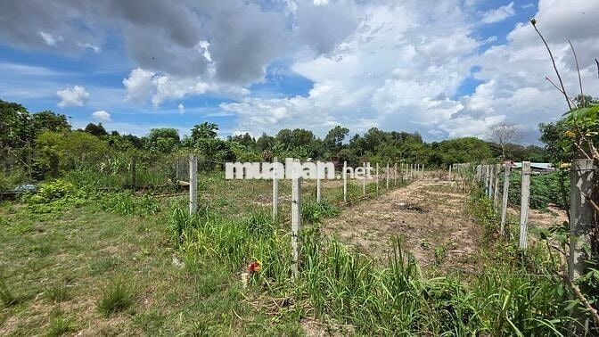 Đất đẹp - 155m2, nở hậu, ngay vành đai 3