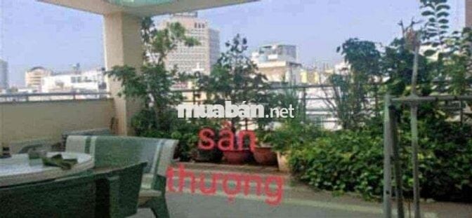 CHO THUÊ CĂN CC MINI KHU TRUNG TÂM Q1  (chính chủ