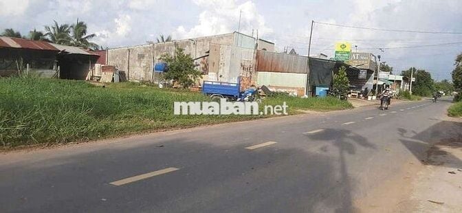 Bán Gấp Lô Đất 270m2 Ở MT Đường Bàu Trai, Xã Tân Phú, Đức Hòa, Long An