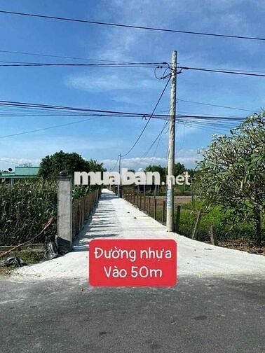 25x44 Tổng 1100m Có Sẵn 240 Thổ Cư Long Mỹ Phước Hải