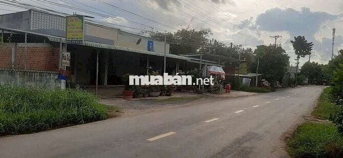 Bán Gấp Lô Đất 270m2 Ở MT Đường Bàu Trai, Xã Tân Phú, Đức Hòa, Long An