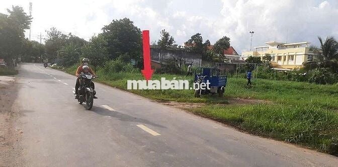 Bán Gấp Lô Đất 270m2 Ở MT Đường Bàu Trai, Xã Tân Phú, Đức Hòa, Long An