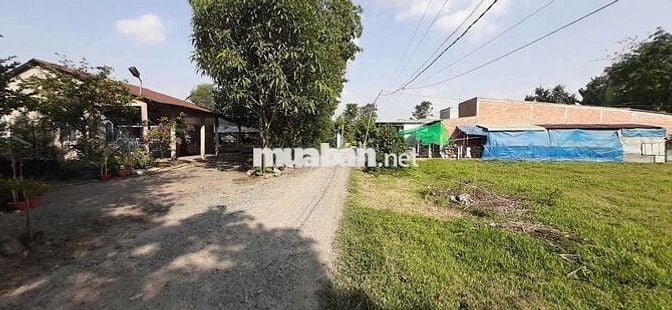 Cần bán lô đất diện tích: 1161m2.  Ở Xã Hiệp Hòa, Đức Hòa, Long An.