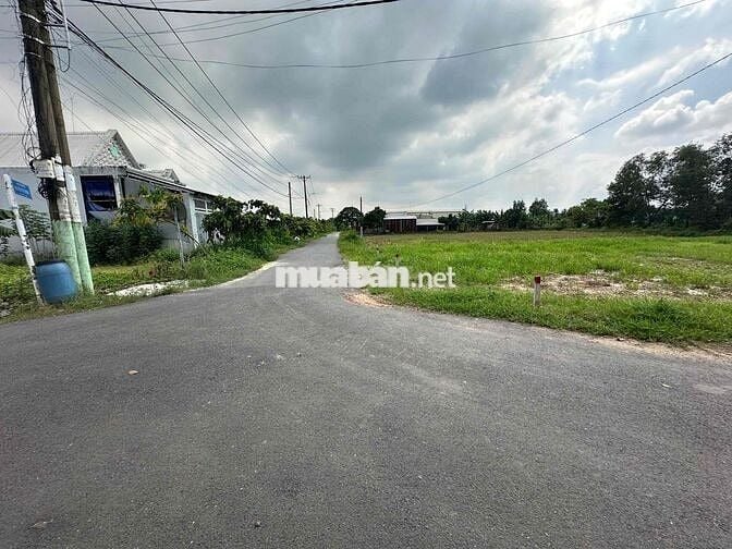 🔥 SIÊU PHẨM 2025 ĐẤT THUỘC TP.HCM – CỦ CHI 🔥 📍 Đường nhựa 2 mặt tiền