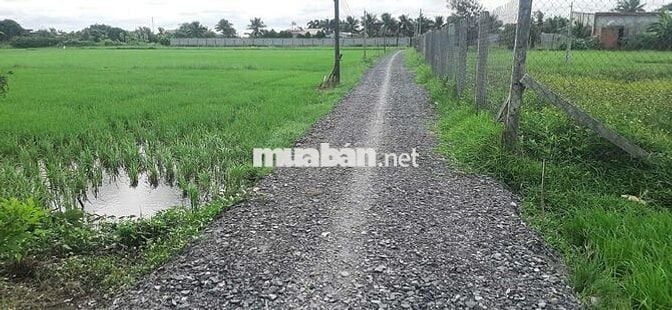 Bán lô đất Tổng diện tích 7689m2. Ngang mặt tiền 103m dài 74m. Long An