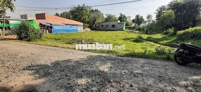 Cần bán lô đất diện tích: 1161m2.  Ở Xã Hiệp Hòa, Đức Hòa, Long An.