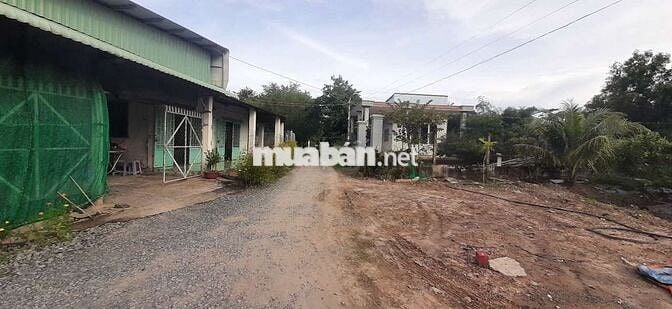 Cần bán lô đất diện tích: 1161m2.  Ở Xã Hiệp Hòa, Đức Hòa, Long An.