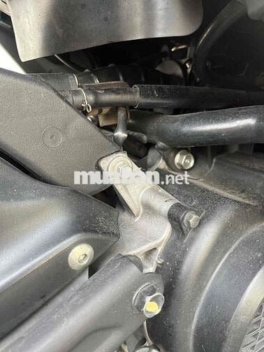 vision 2024 bản cá tính