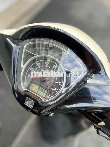 vision 2024 bản cá tính