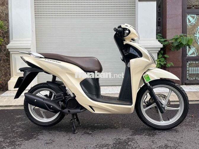 vision 2024 bản cá tính