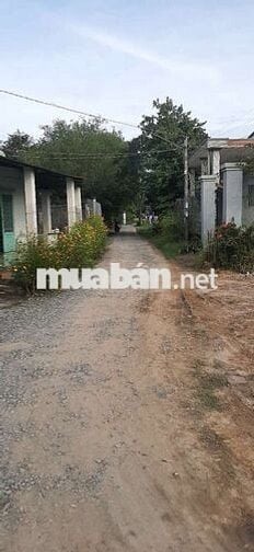 Cần bán lô đất diện tích: 1161m2.  Ở Xã Hiệp Hòa, Đức Hòa, Long An.