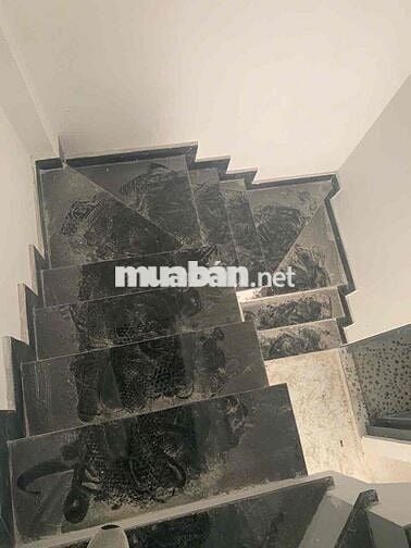 Cho thuê nhà MT Nguyên Hồng – 3.6x17m, trệt 2 lầu, nhà mới sửa