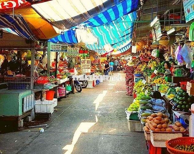 chính chủ bể nợ cần bán gấp đất tặng nhà cấp 4