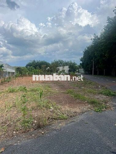 Thanh lý gấp đất góc 2 mặt tiền đường, TP.HCM(mới), 291m2, giá 400tr