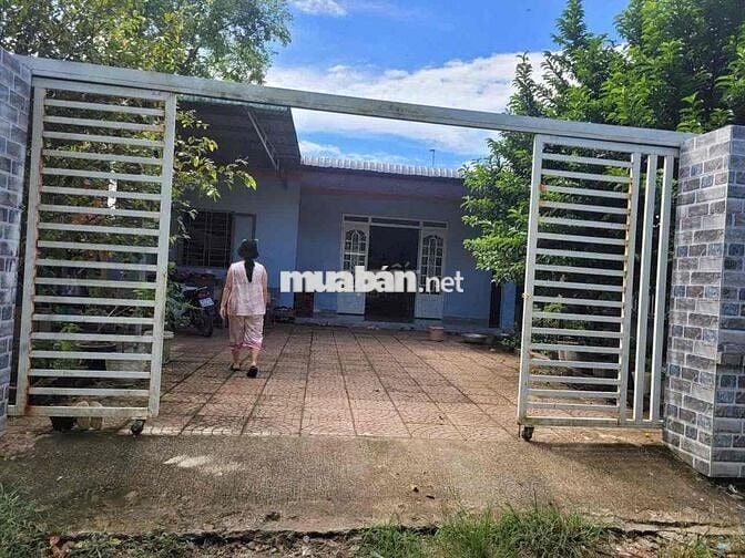 chính chủ bể nợ cần bán gấp đất tặng nhà cấp 4