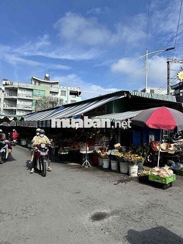 chính chủ bể nợ cần bán gấp đất tặng nhà cấp 4