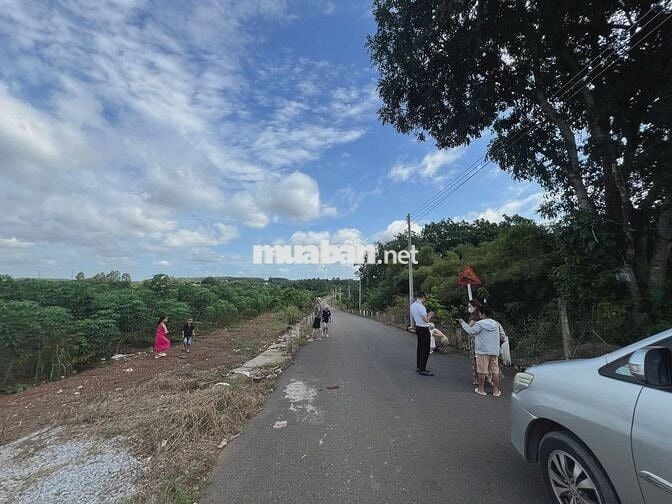 Chủ Ngộp Cần Bán Gấp Lô Đất Mặt Tiền Đường DH508