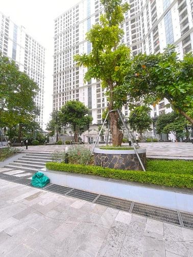 SHOPHOUSE - Chân Đế  Chung cư EMERALD CT8 - Đình Thôn 