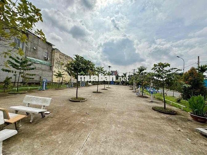 Khu phân lô, 169m2, full thổ cư đối diện công viên, xây dựng tự do