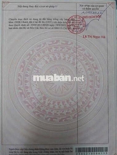 Đất Gần QL13 – Trung Tâm Bến Cát Chỉ 1 TỶ 1xx, Sổ Sẵn, Mua Là Lời!