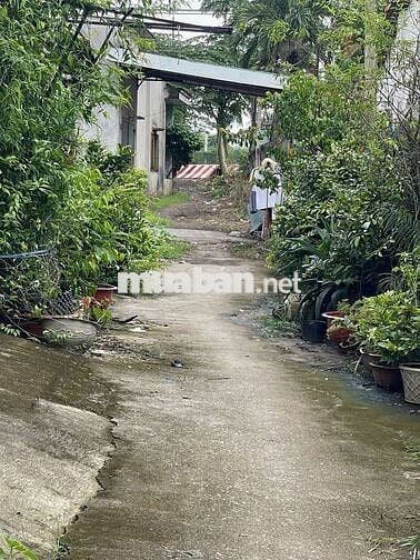 Đất Gần QL13 – Trung Tâm Bến Cát Chỉ 1 TỶ 1xx, Sổ Sẵn, Mua Là Lời!