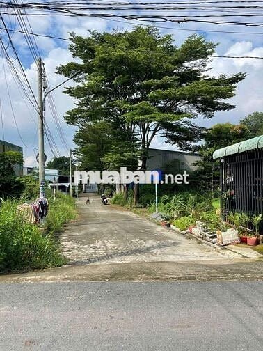 Bán Gấp Đất Thới Hoà Chỉ 1 TỶ220 – SỔ SẴN,