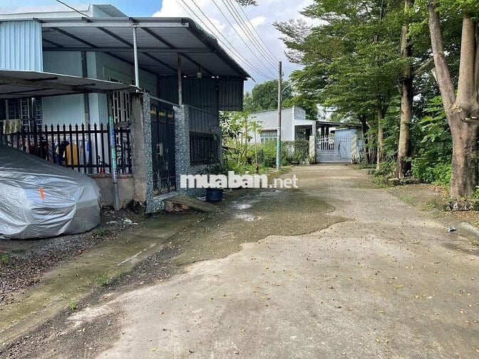 Bán Gấp Đất Thới Hoà Chỉ 1 TỶ220 – SỔ SẴN,