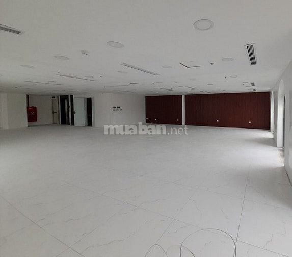 Cho thuê 220m² mặt phố Trần Xuân Soạn, đẹp, hiện đại, chuyên nghiệp