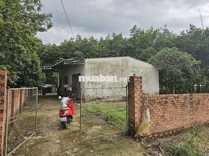 Bán Đất kèm 2 căn nhà gần chợ cầu 2