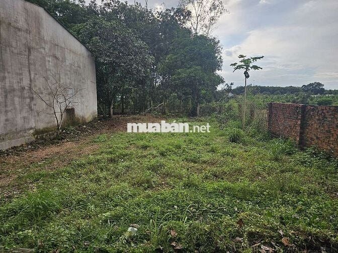 Bán Đất kèm 2 căn nhà gần chợ cầu 2