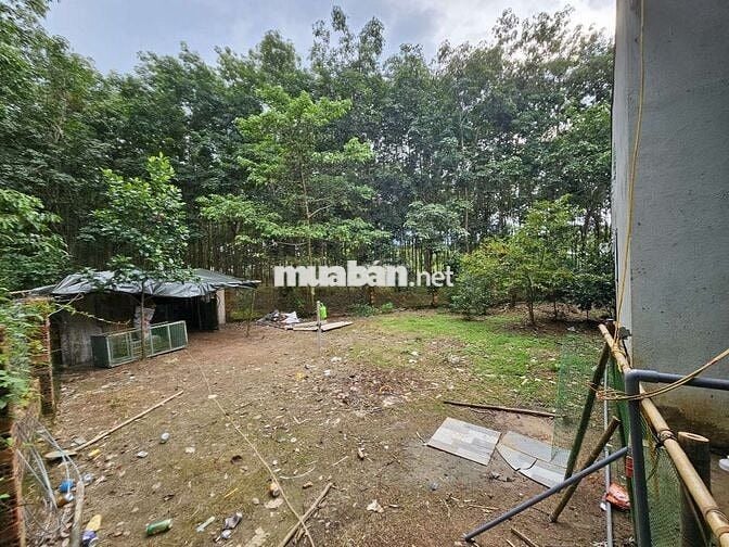 Bán Đất kèm 2 căn nhà gần chợ cầu 2