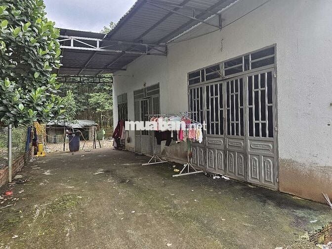 Bán Đất kèm 2 căn nhà gần chợ cầu 2