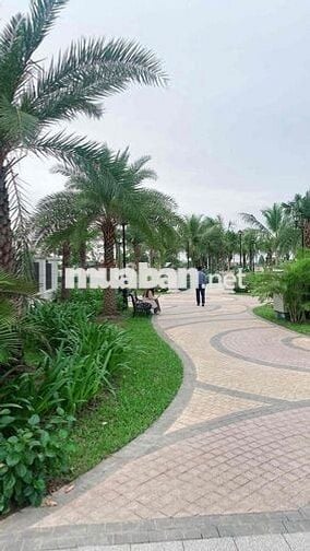 Bán Biệt Thự Song Lập Vinhomes Ocean Park 3 khu khép kín Vịnh Xanh