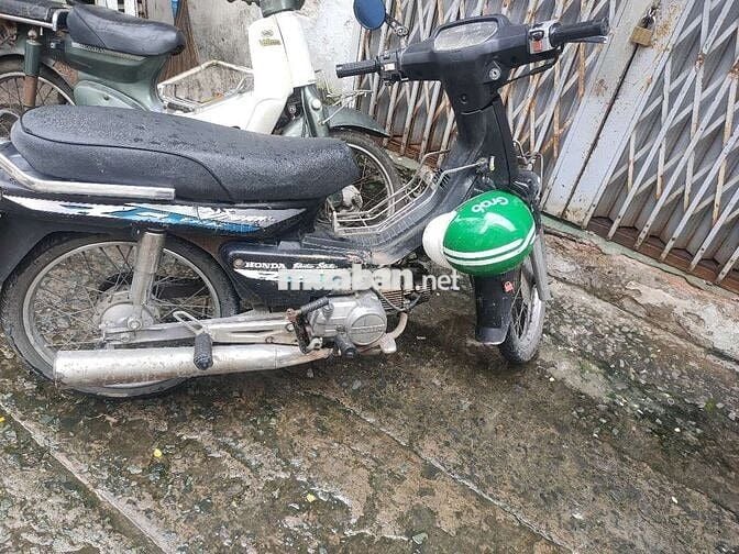 Bán driem lùn nhật