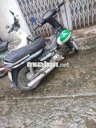 Bán driem lùn nhật