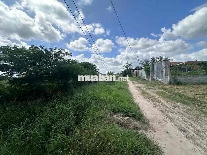 Bán đất tại Tân Mỹ, Đức Hòa, Long An. DT: 2.226 m2, Giá cực rẻ!