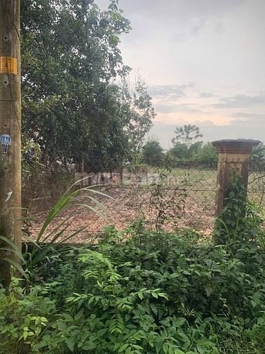 Bán đất mặt tiền An Nhơn Tây - chỉ 10tr/m2 | Thổ cư