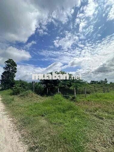 Bán đất tại Tân Mỹ, Đức Hòa, Long An. DT: 2.226 m2, Giá cực rẻ!