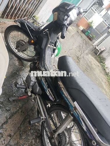 Bán driem lùn nhật