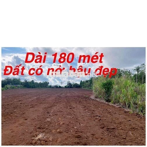 6tỷ có bớt lộc . Mặt tiền 8m Liên tỉnh đồng nai long khánh