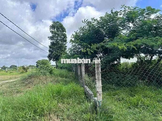 Bán đất tại Tân Mỹ, Đức Hòa, Long An. DT: 2.226 m2, Giá cực rẻ!