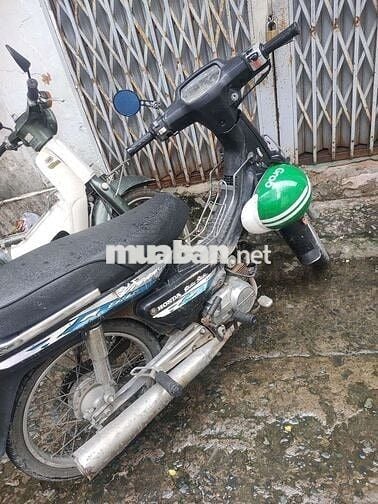 Bán driem lùn nhật