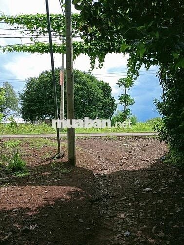 BÁN ĐẤT 300 TRIỆU/SÀO THƯƠNG LƯỢNG