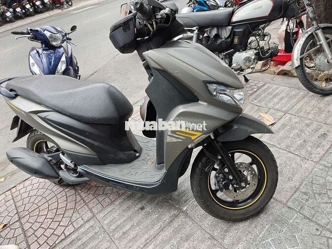 freego s 2019 smarkey