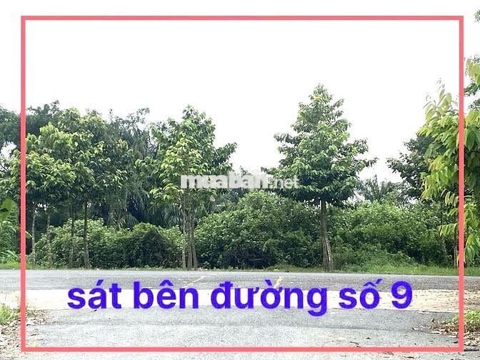 CHÍNH CHỦ CẦN TIỀN BÁN GẤP CẮT LỔ 400TR  , KDC TÂN ĐÔ